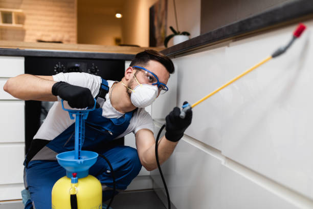 Best Local Pest Control Services  in Rugby, ND