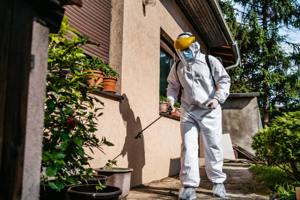 Best Ant Control Services  in Rugby, ND