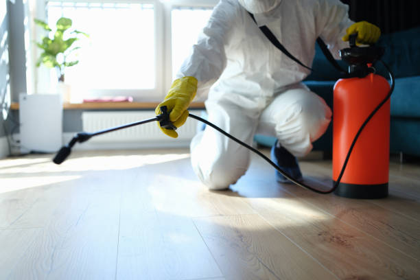 Best Affordable Pest Control Services  in Rugby, ND