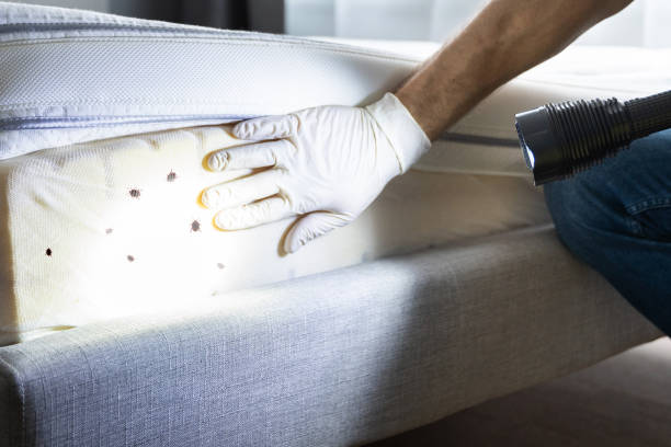 Best Wildlife Control Services  in Rugby, ND